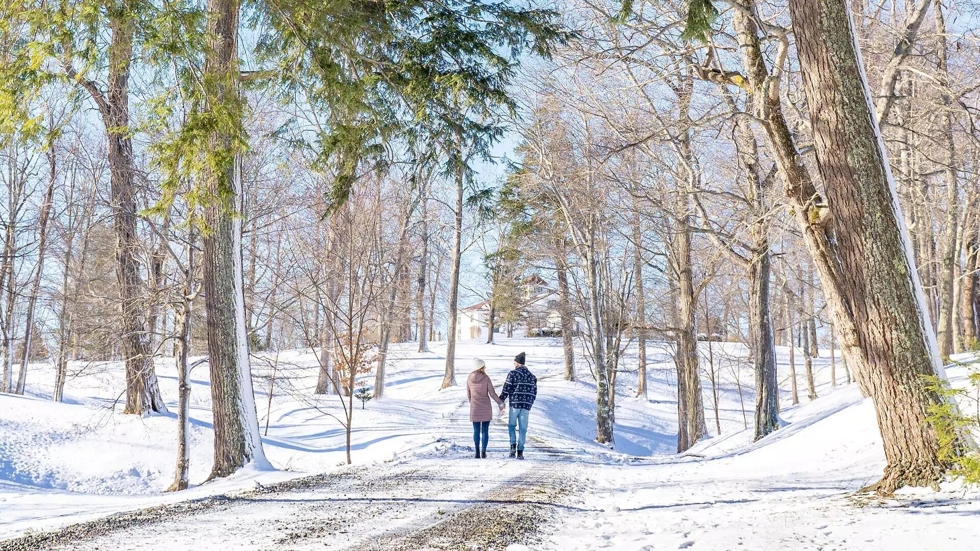 Trails at Haliburton House Museum