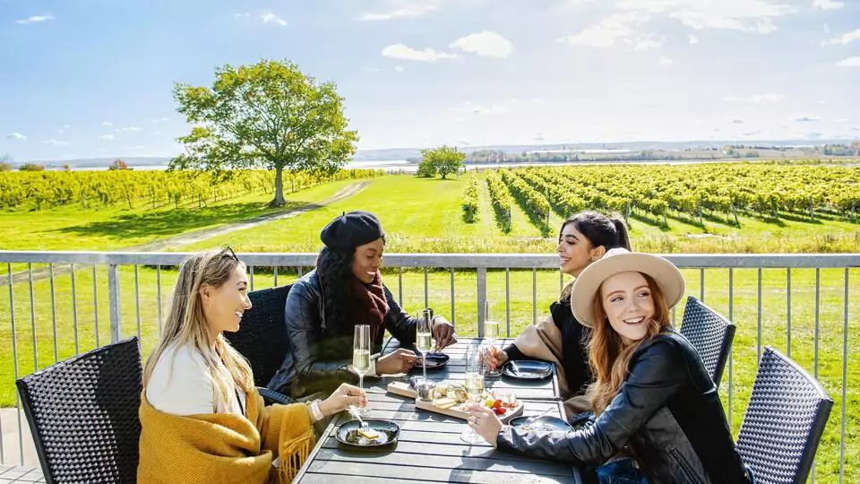 VINEYARDS AND WINERIES