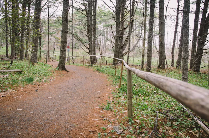 Miller Point Peace Park