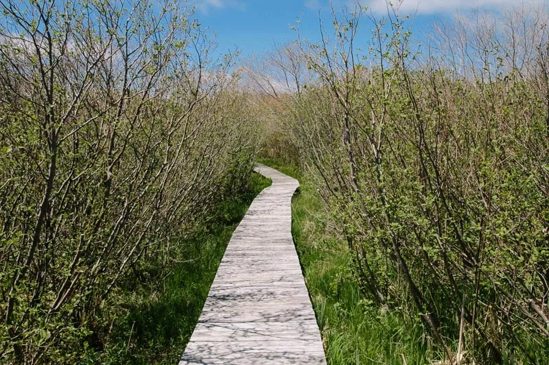Chapel Gully Trail