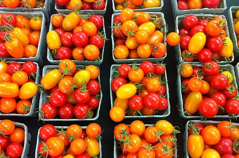 Privateer Farmers and Artisans Market