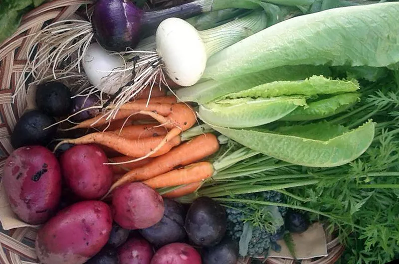 West Dublin Market