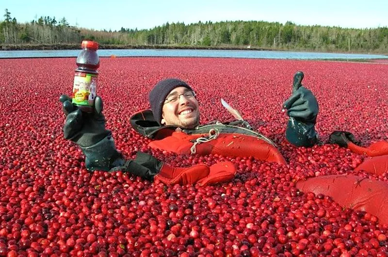 Terra Beata Cranberry Farm