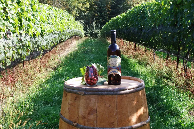 Lunenburg County Winery