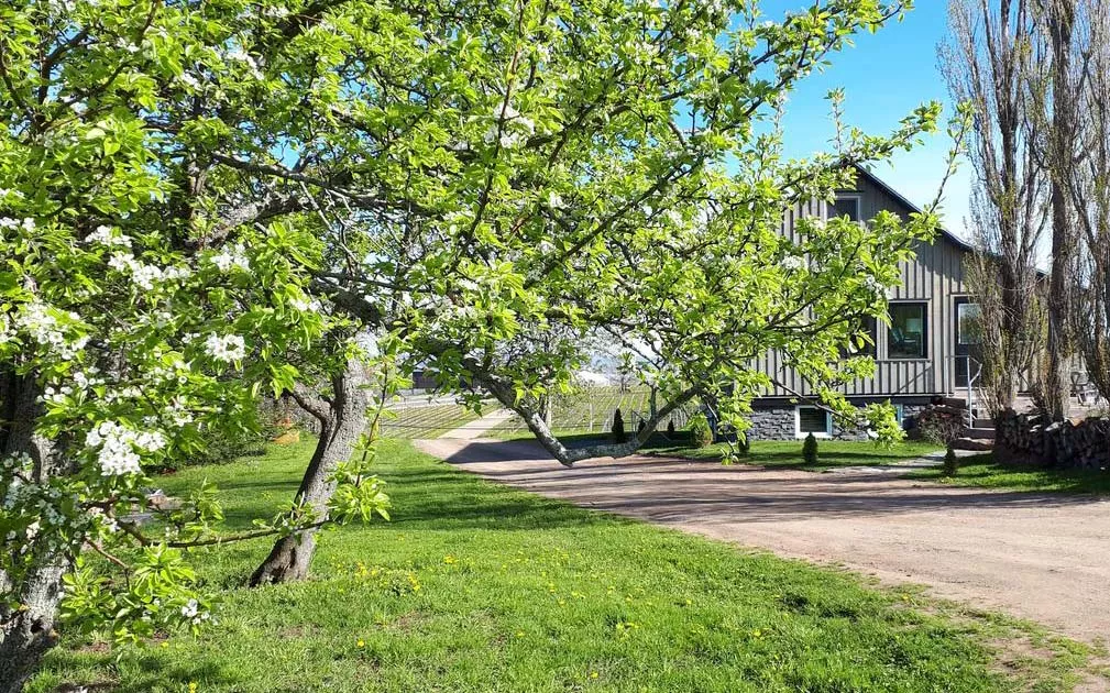 Raven Hill Vineyard & Retreat