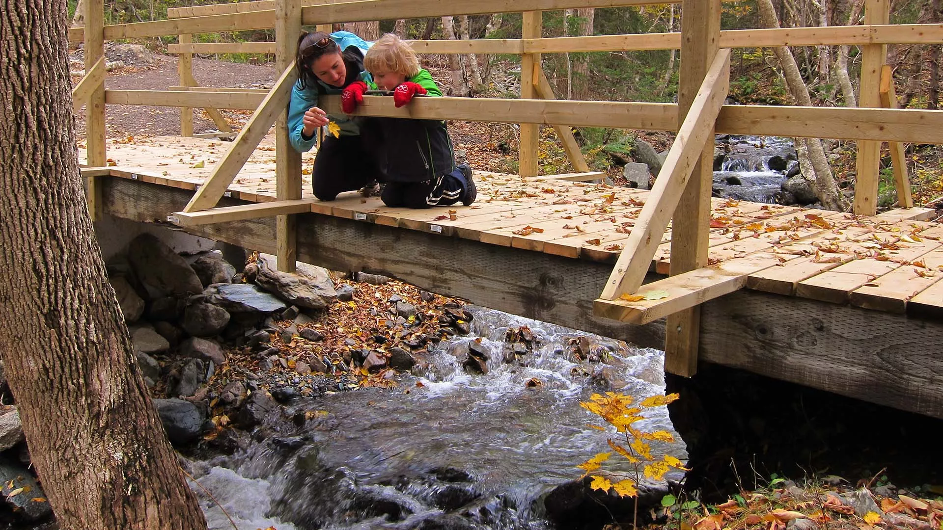 Le vieux chemin du Cap-Rouge Trail – Cape Breton Highlands National Park