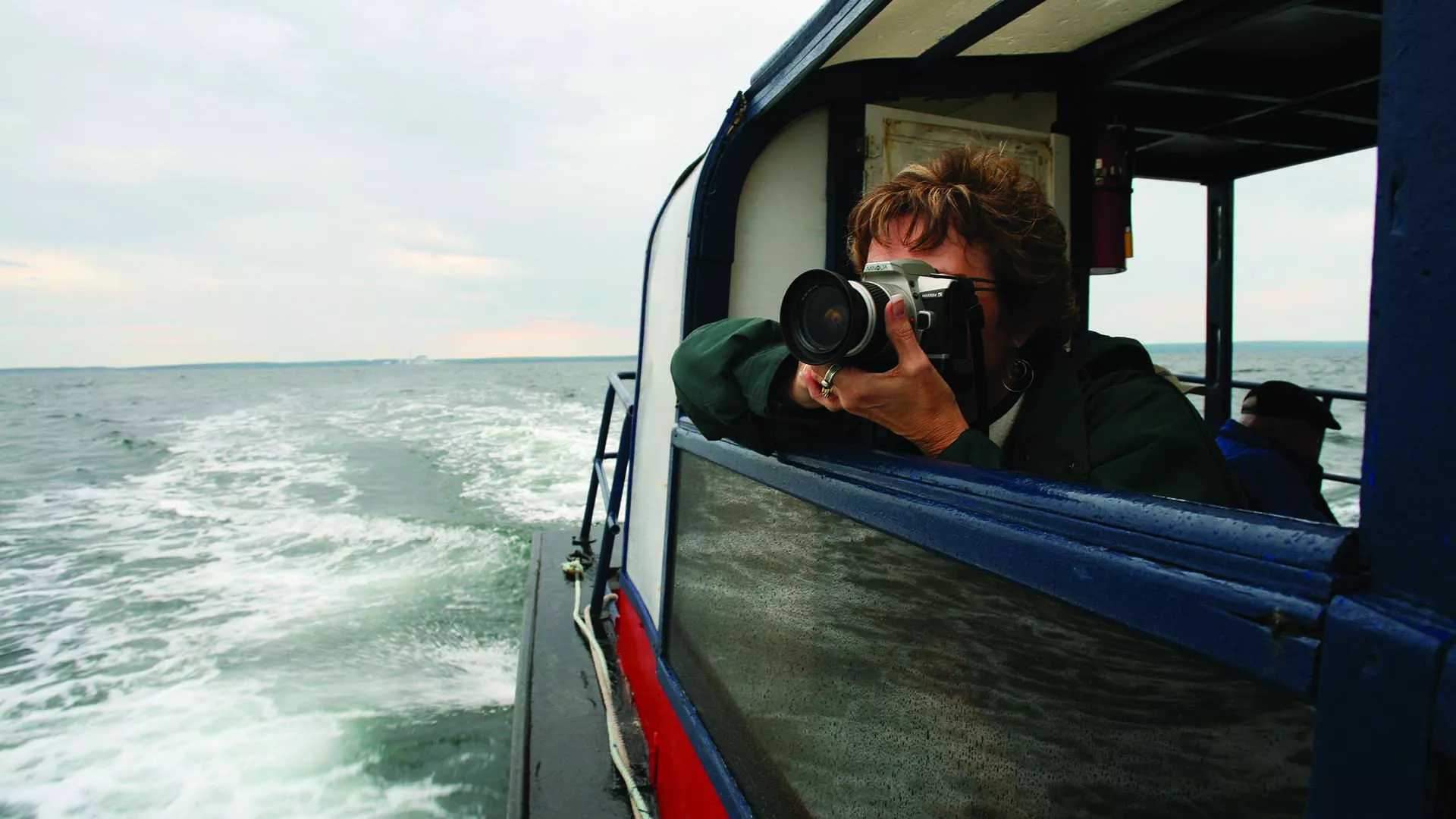 Bird Island Boat Tours