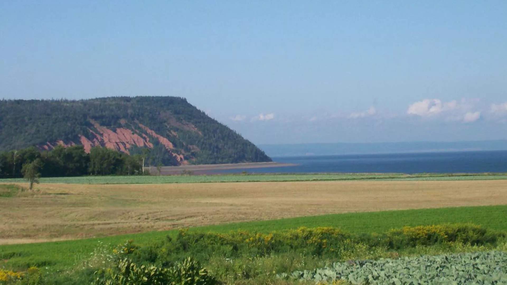 Novacadie Tours