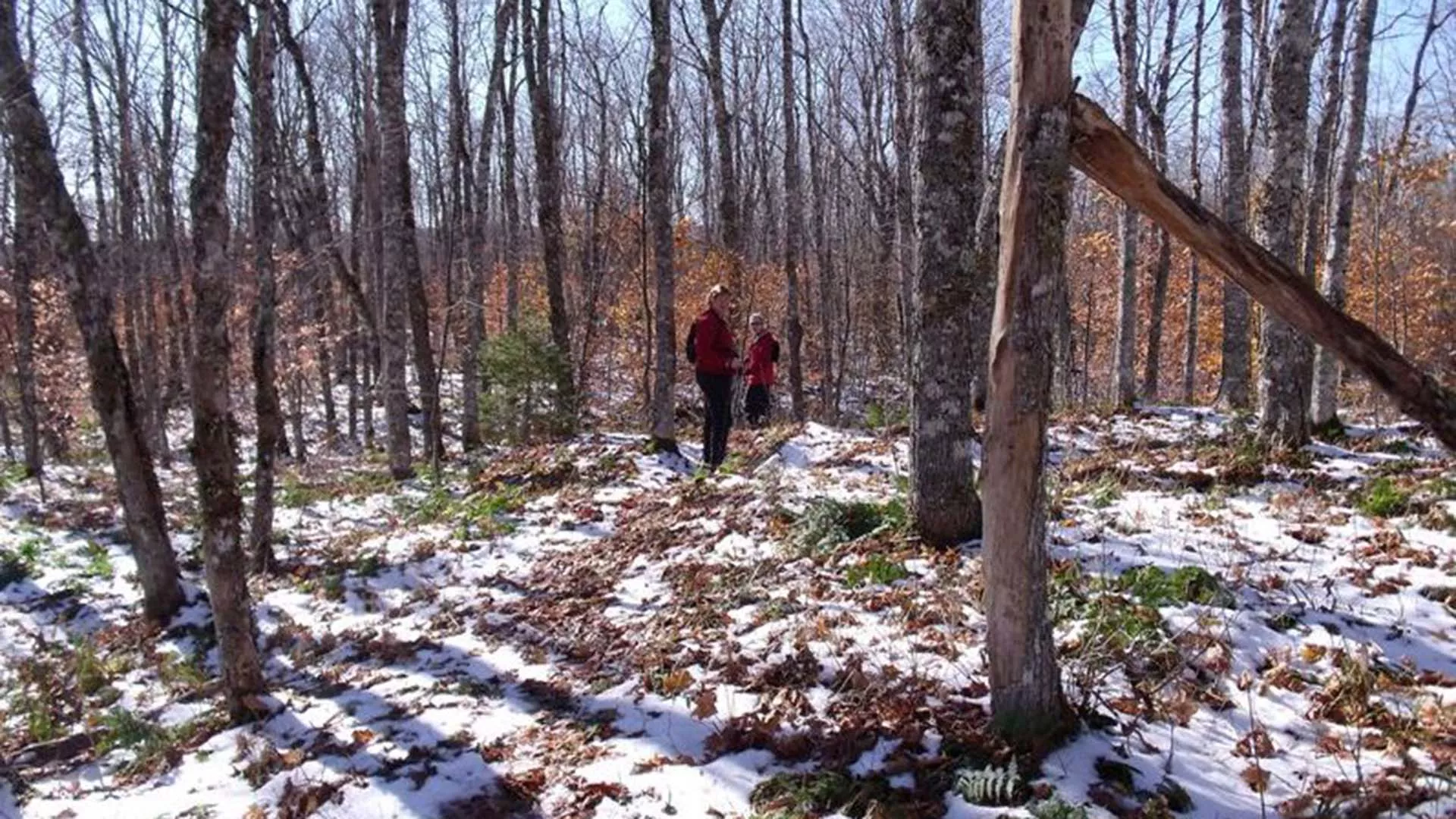 Willard Kitchener MacDonald Trail