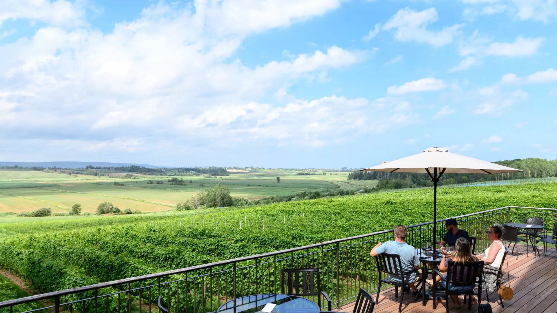 Planters Ridge Winery