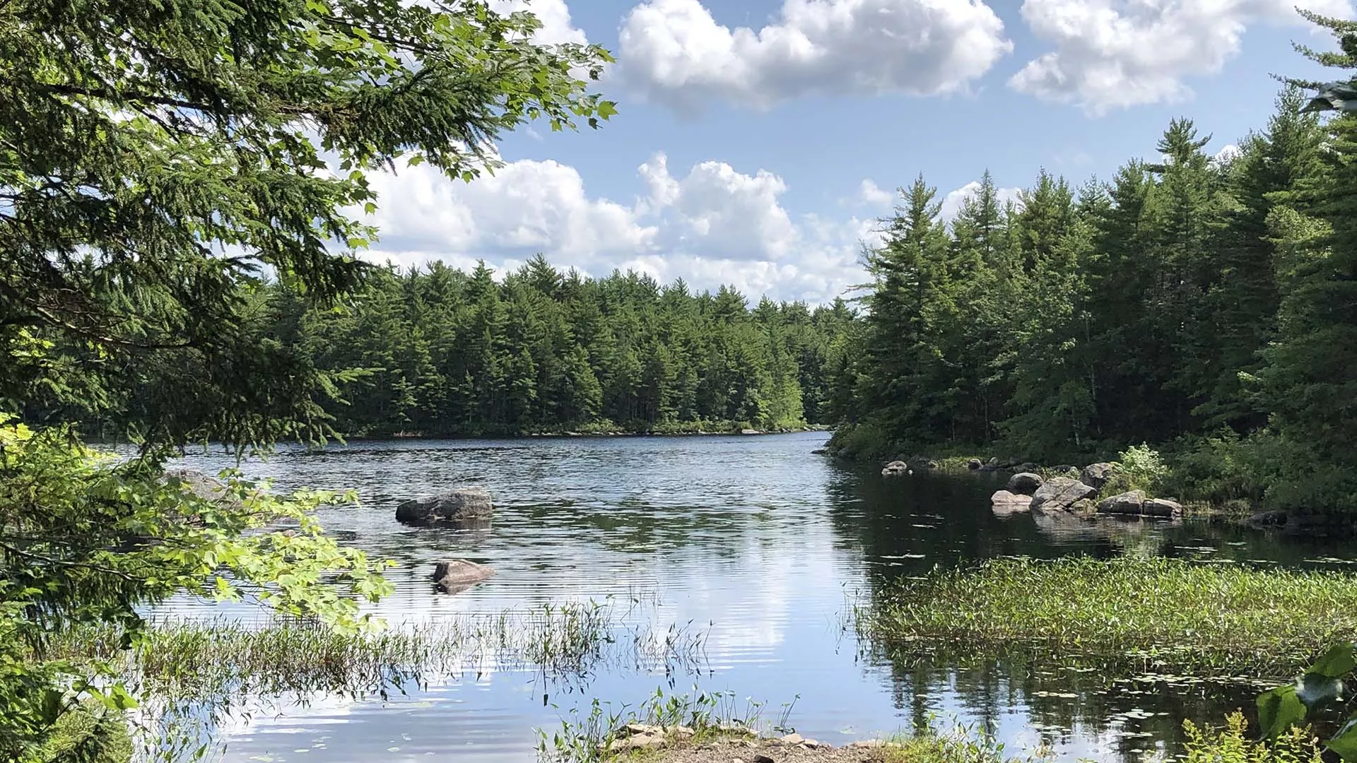 Shannon River Canoe Access Park
