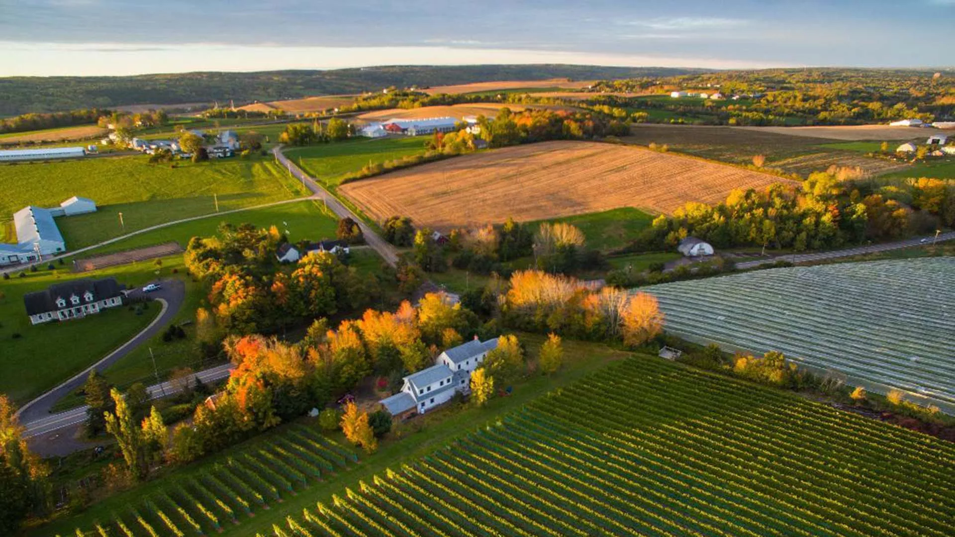 Olde Lantern Inn & Vineyard