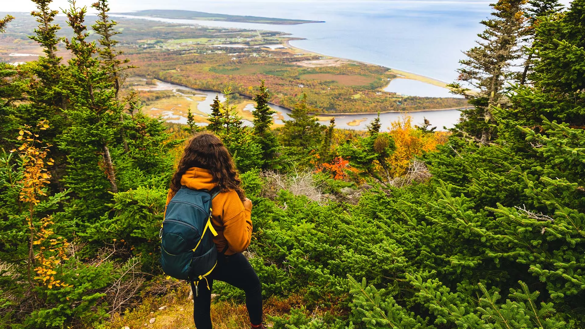 Acadian Trail – Cape Breton Highlands National Park