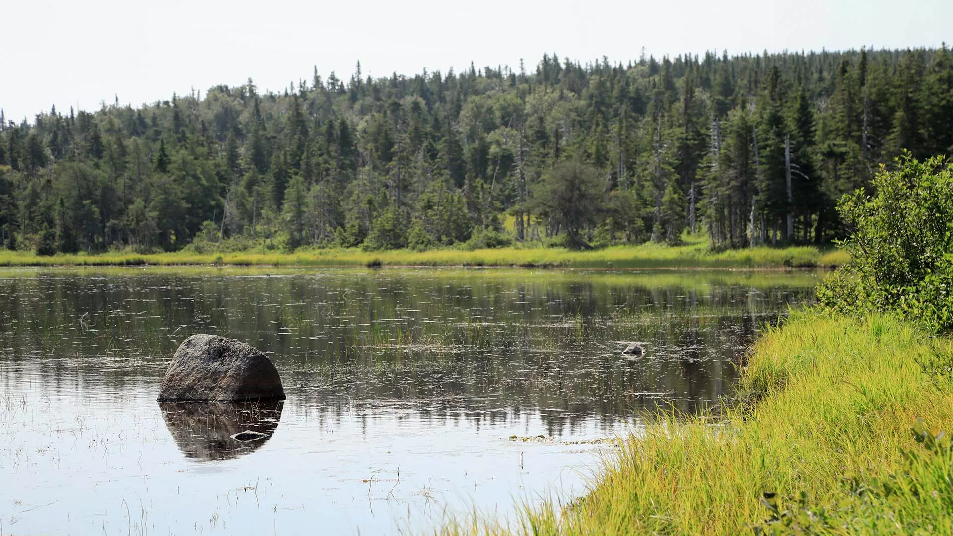 Benjie’s Lake Trail – Cape Breton Highlands National Park