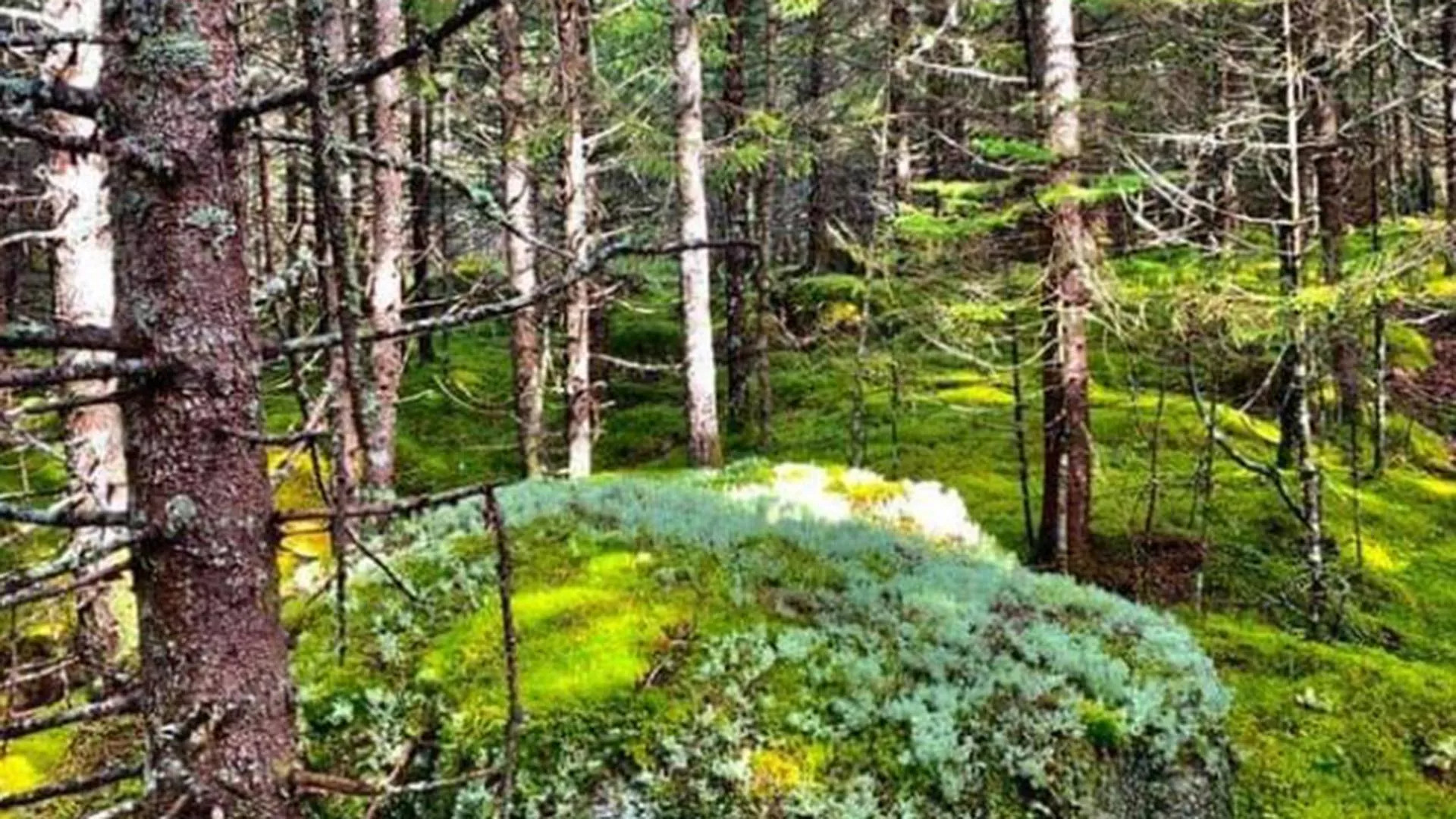 Terroir & Wild Ecotours
