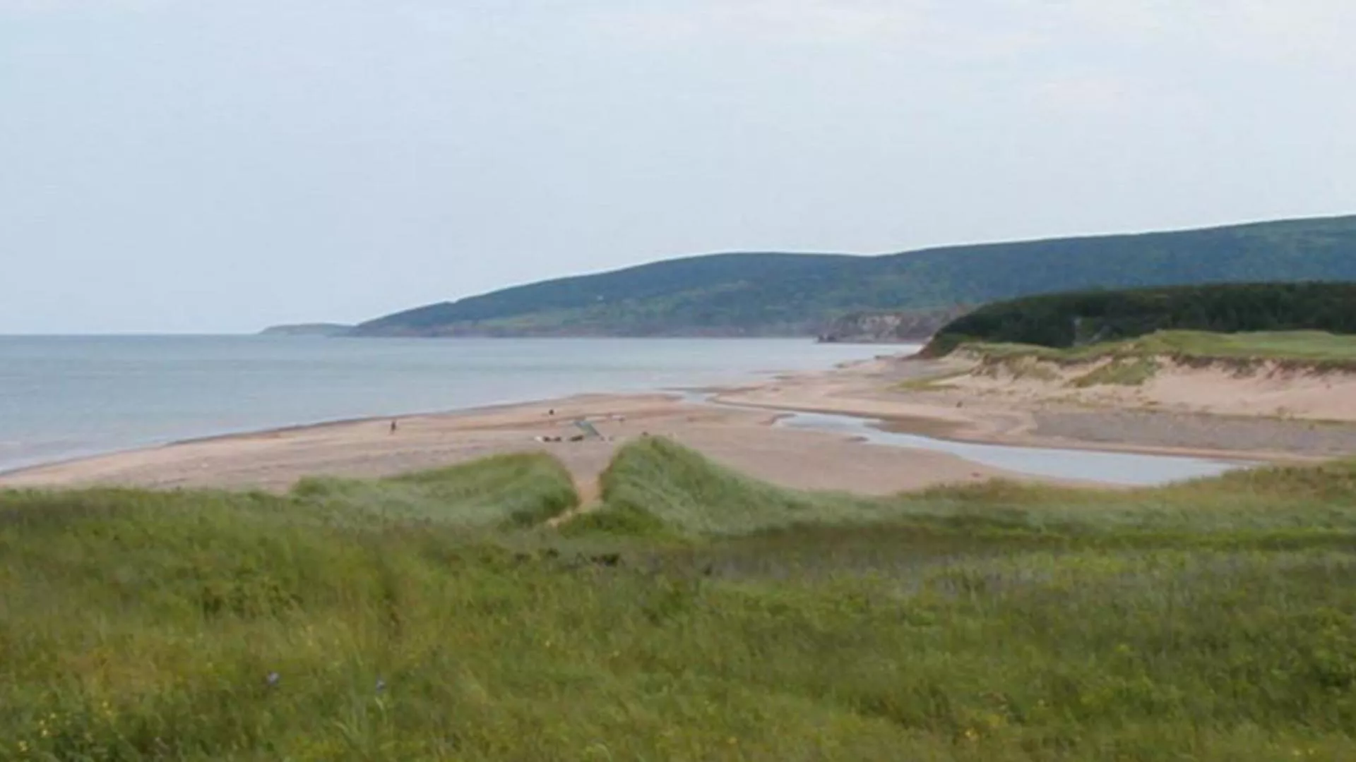 MacLeod’s Beach Campsite