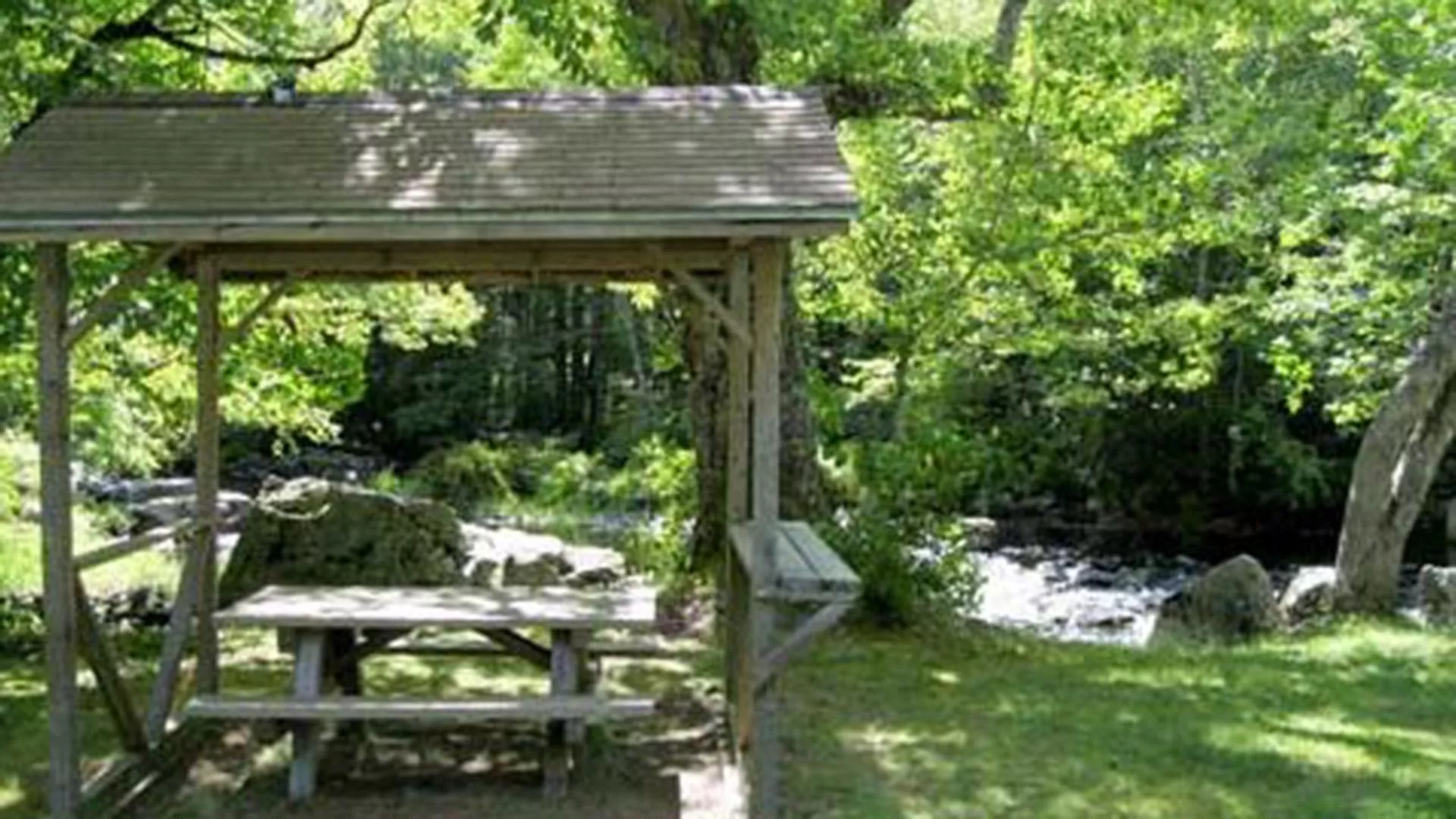 Camerons Brook Provincial Park
