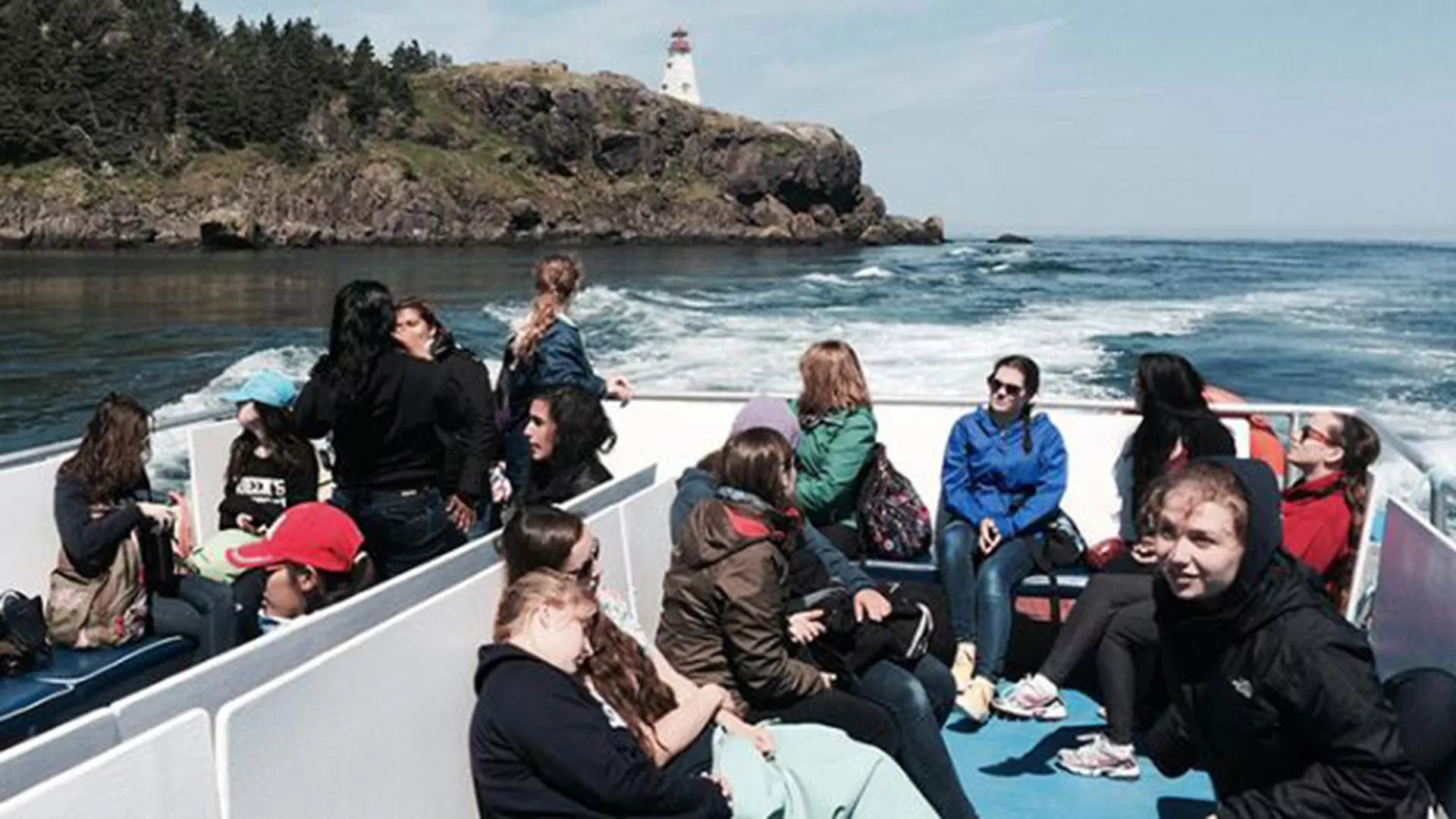 Petit Passage Whale Watch