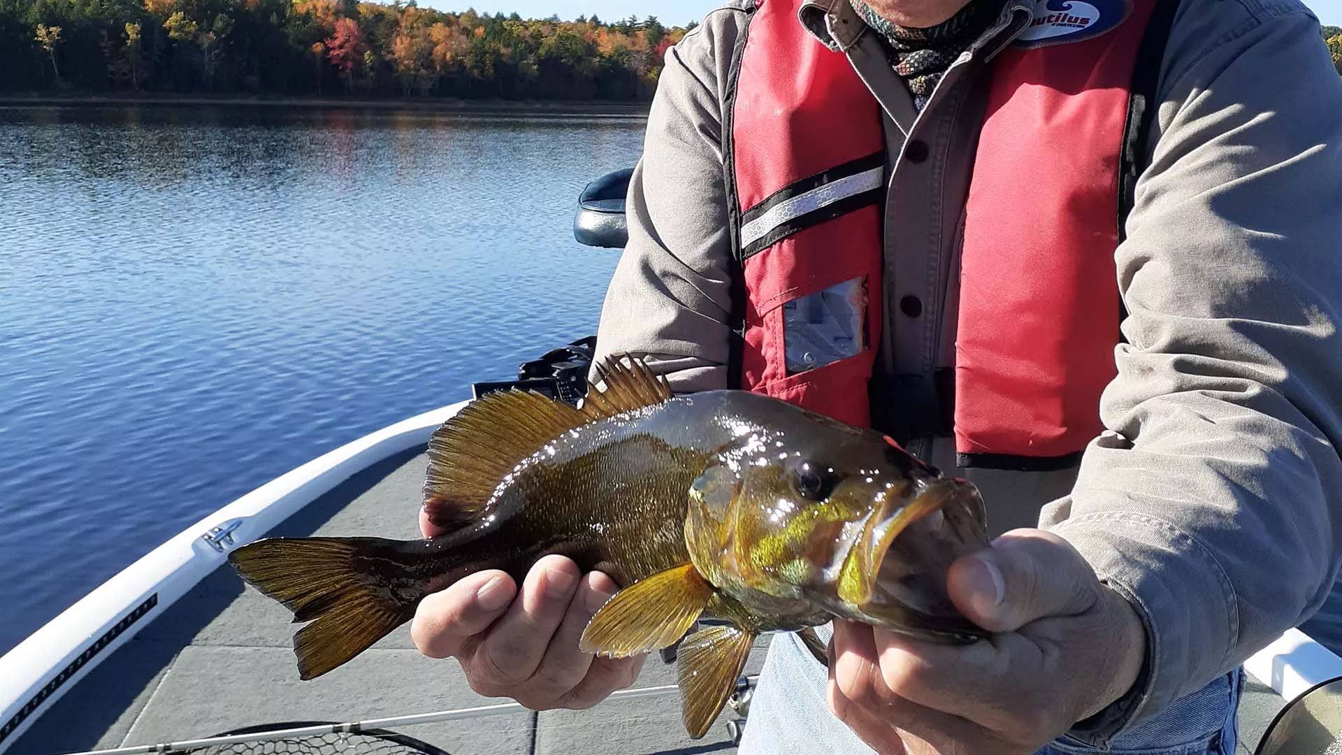 Peter Lavender Fishing Guide Services