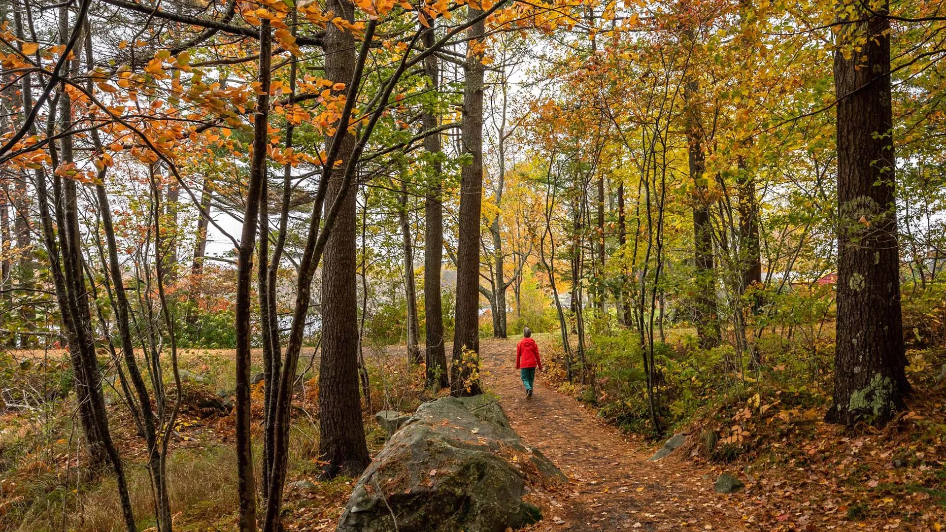 Pine Grove Park