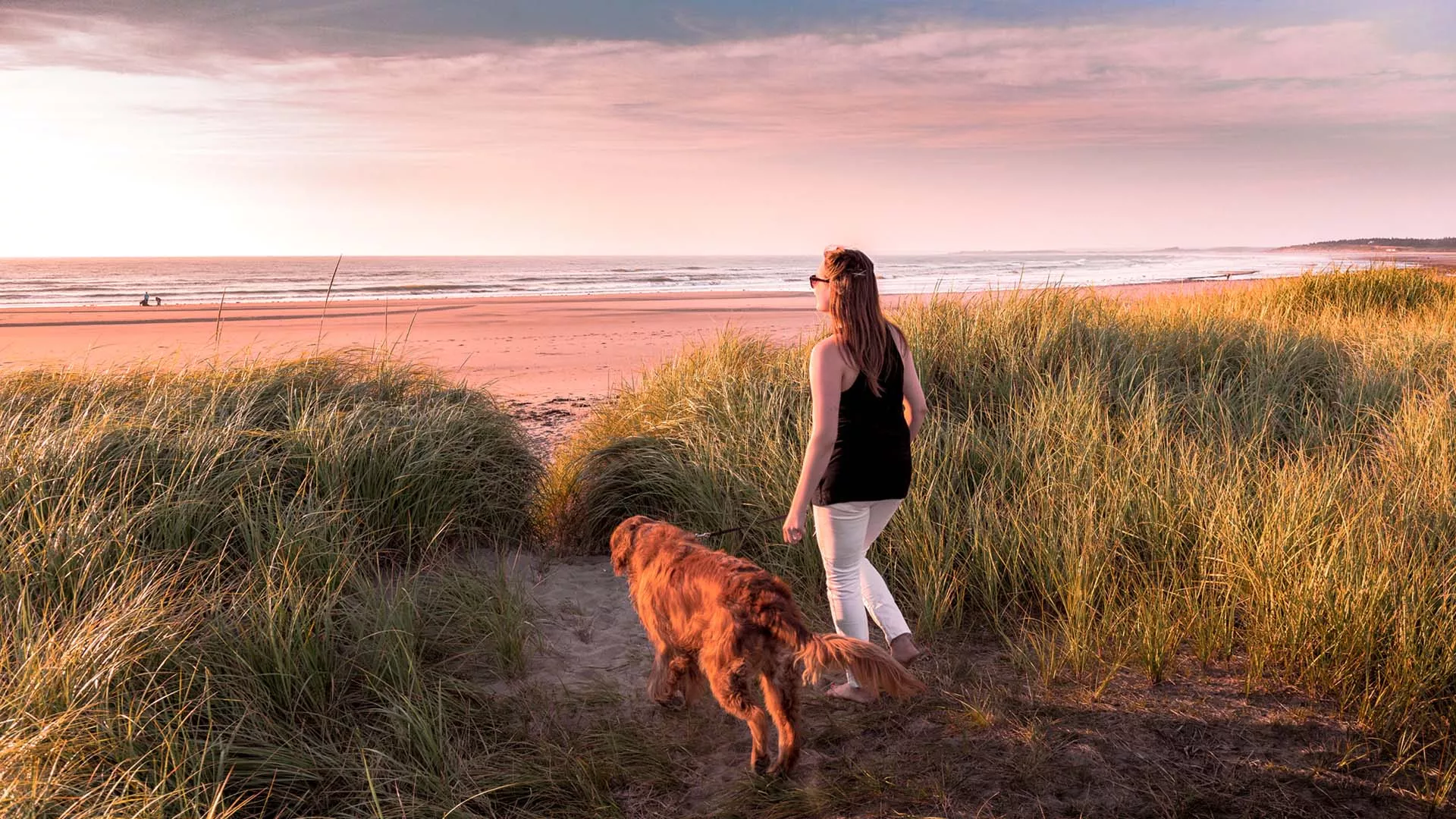 Port Maitland Beach Provincial Park