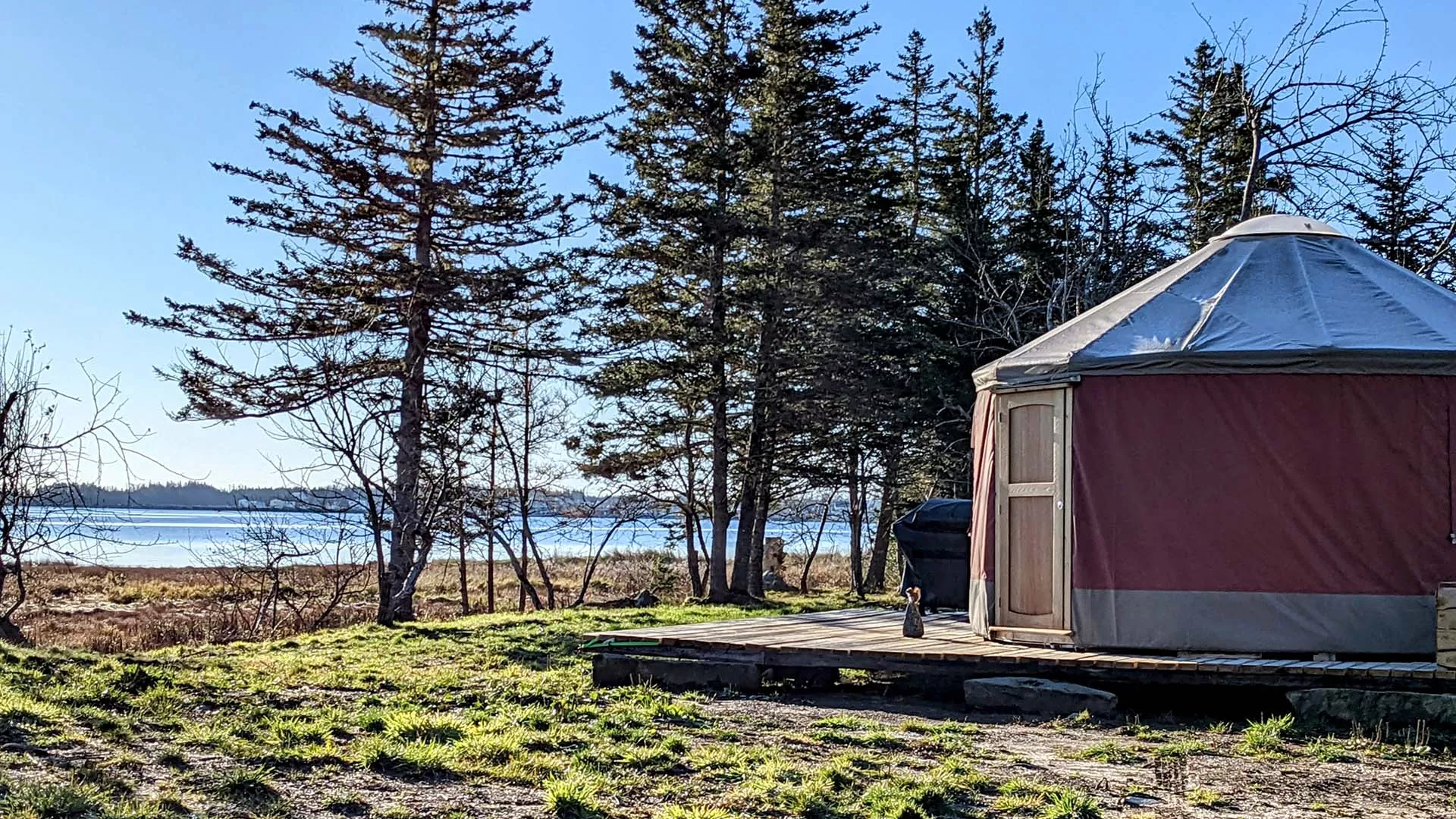 Tamarack Shores