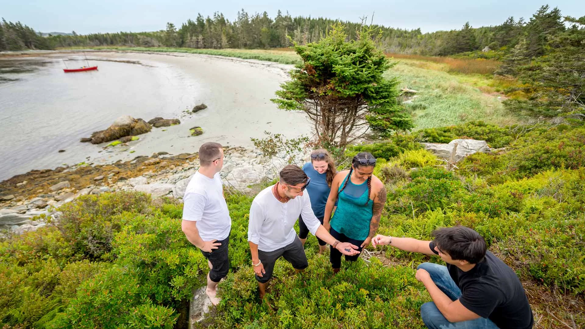 Great Earth Expeditions
