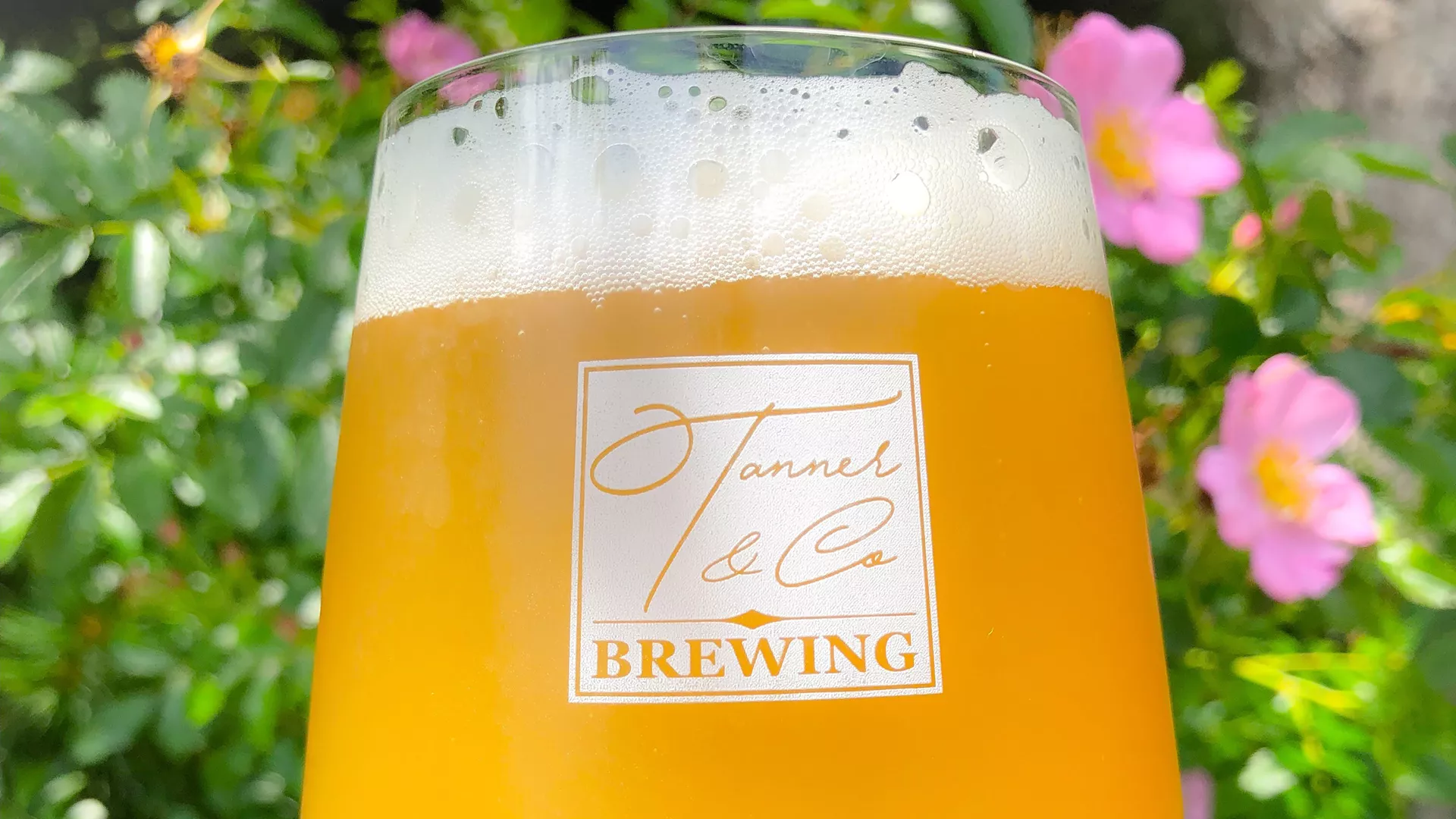 Tanner & Co. Brewing