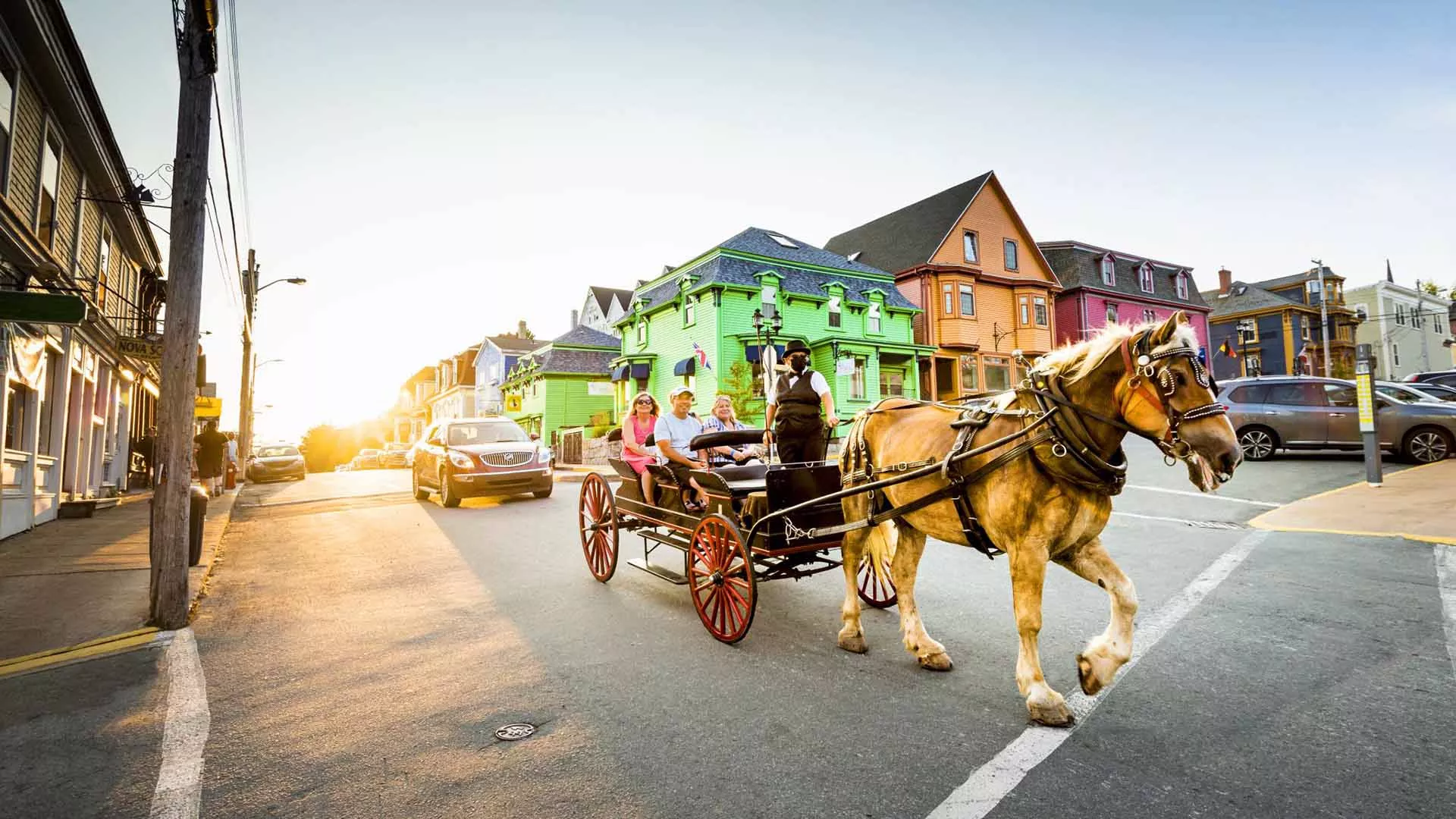 Trot in Time Carriage Tours