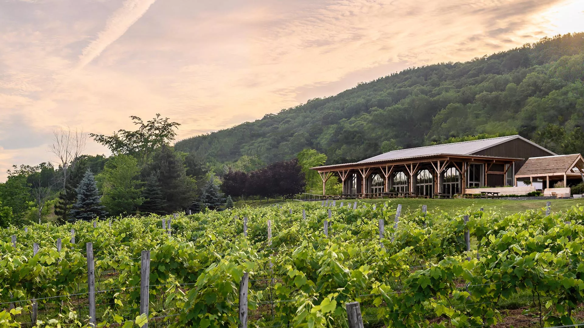 Benjamin Bridge Vineyards