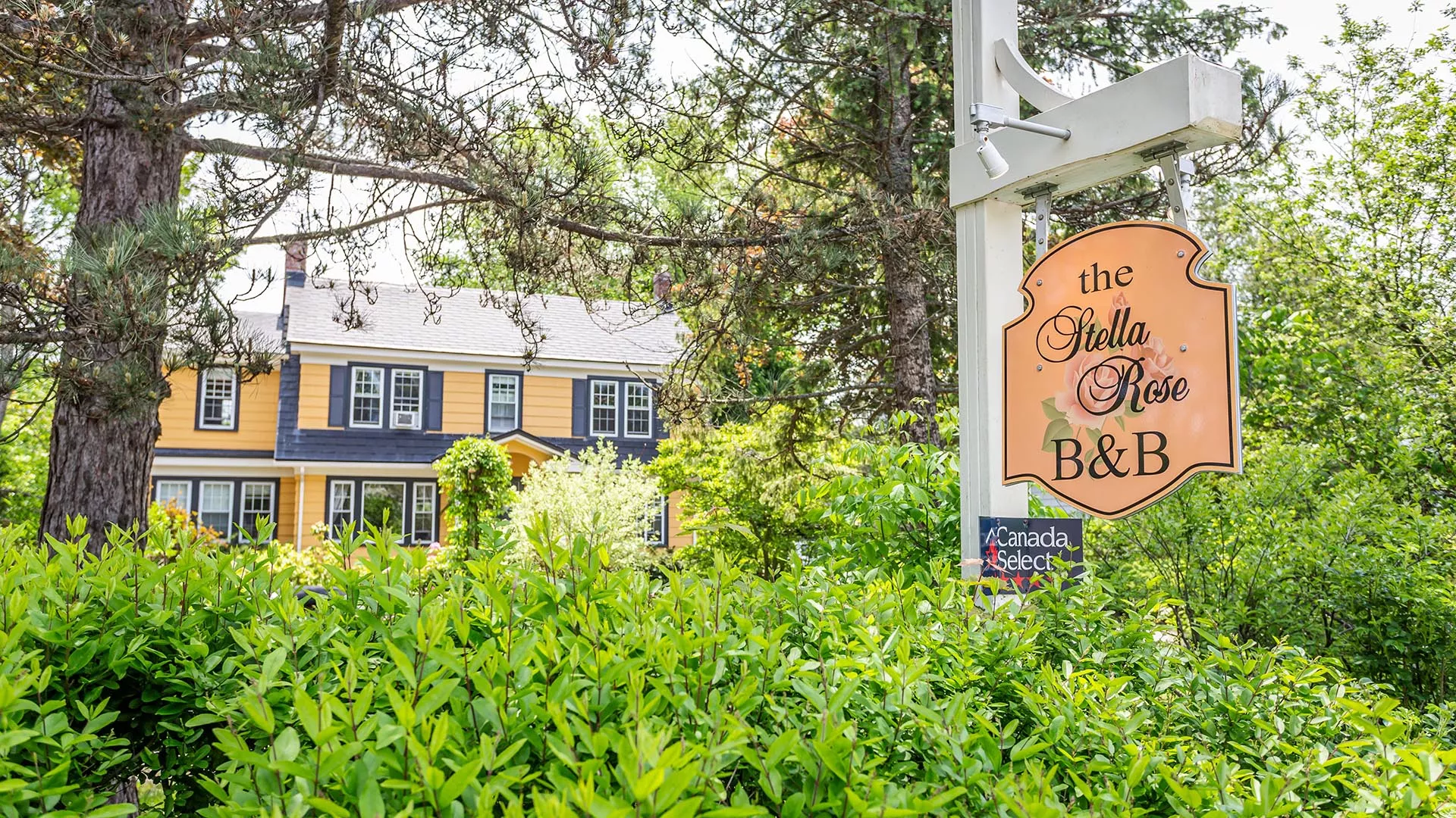 The Stella Rose B&B