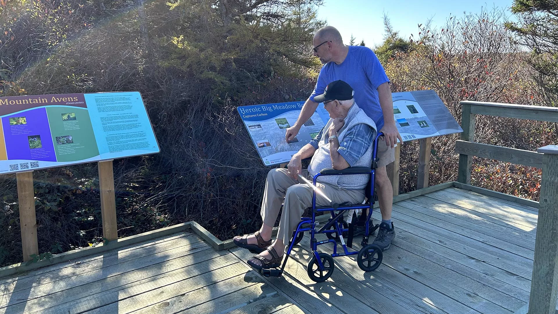 Brier Island Big Meadow Bog Trail