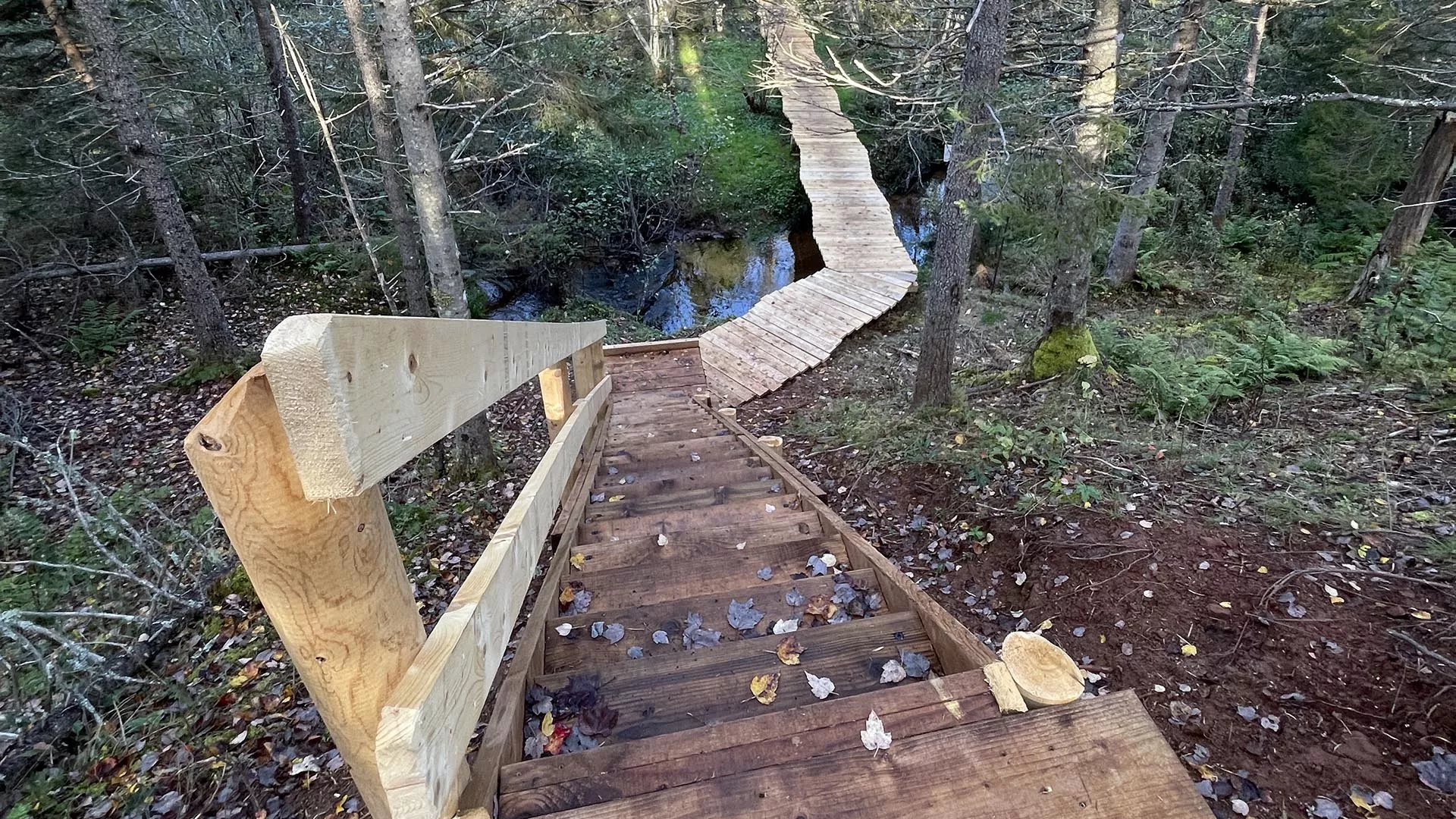 Mi’kmawey Debert Interpretive Trail