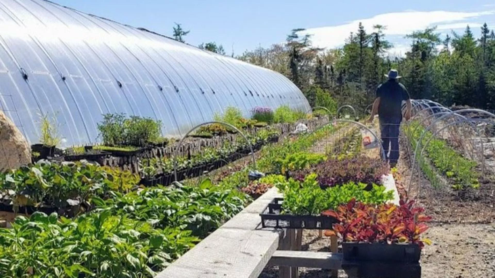 Coastal Grove Farm
