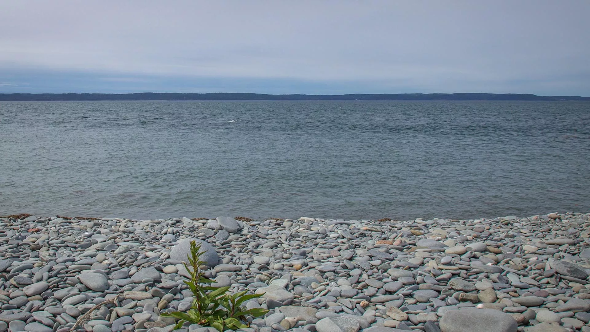 Belliveau Cove Boardwalk and Trails