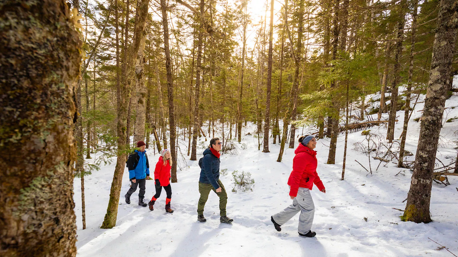 Crowbar Lake Hiking Trails