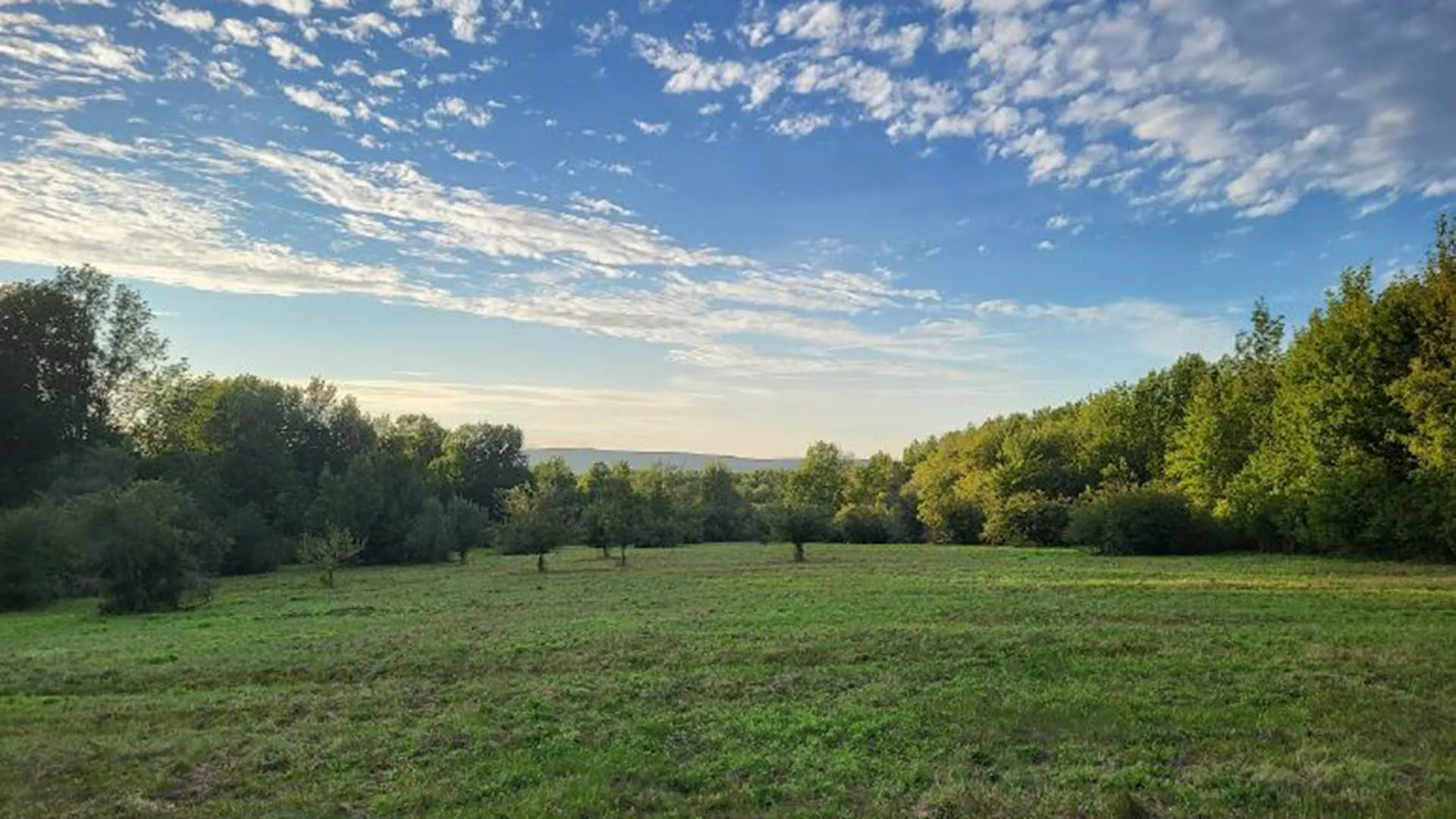 Hollow Brook Farm