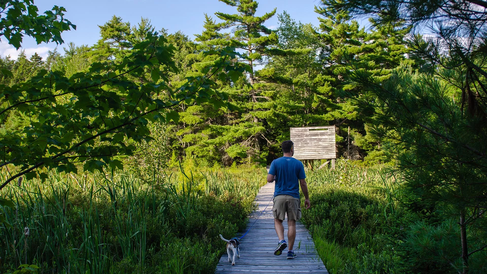 Grafton Woods Trail – Kejimkujik National Park and National Historic Site