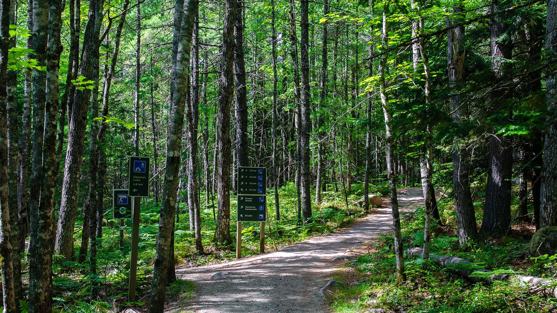 Hemlocks and Hardwoods Trail – Kejimkujik National Park and National Historic Site
