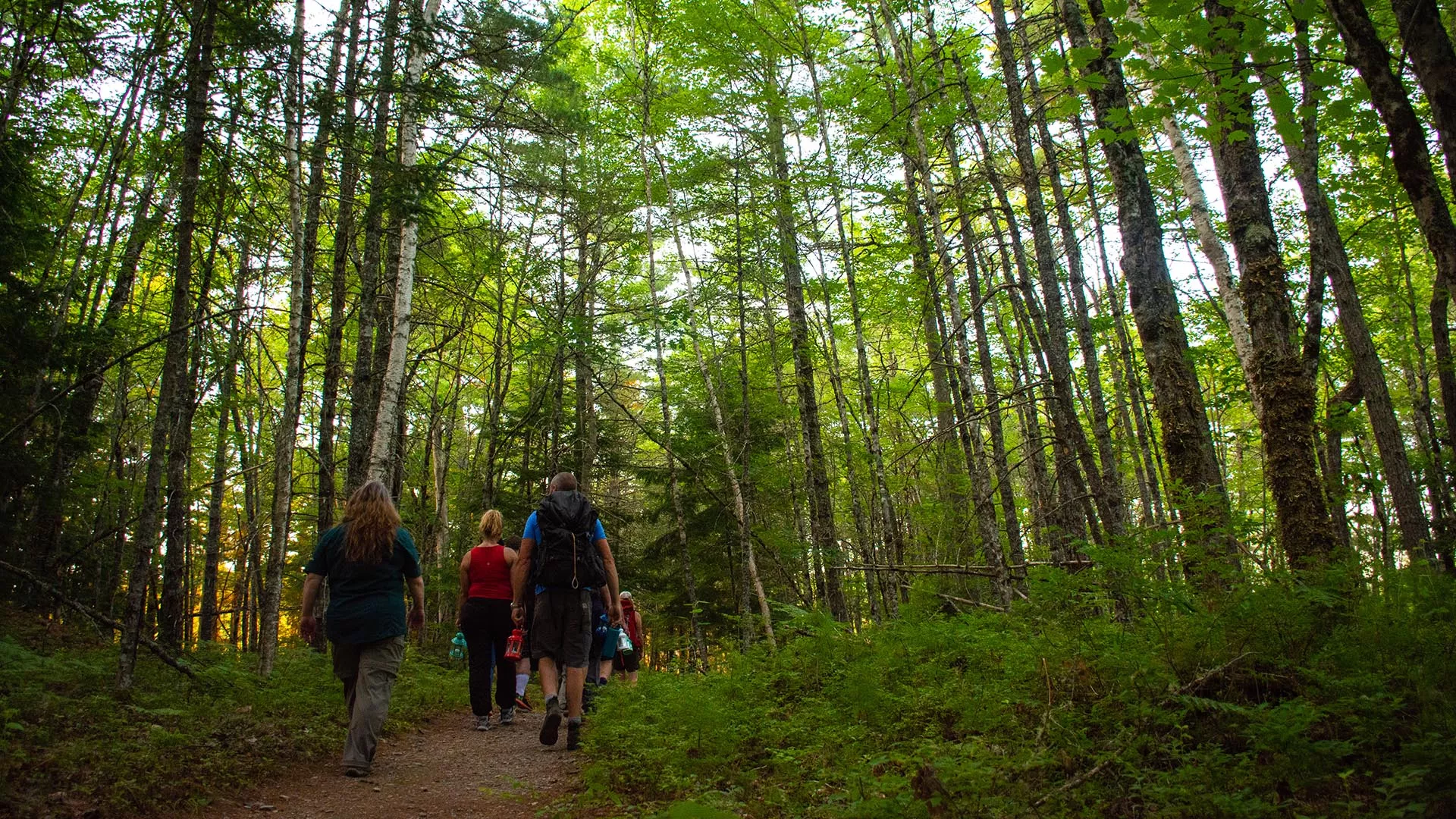 Peter Point Trail – Kejimkujik National Park and National Historic Site