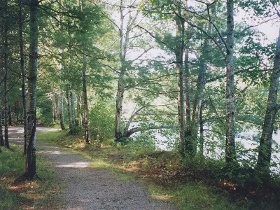Cookville Provincial Park