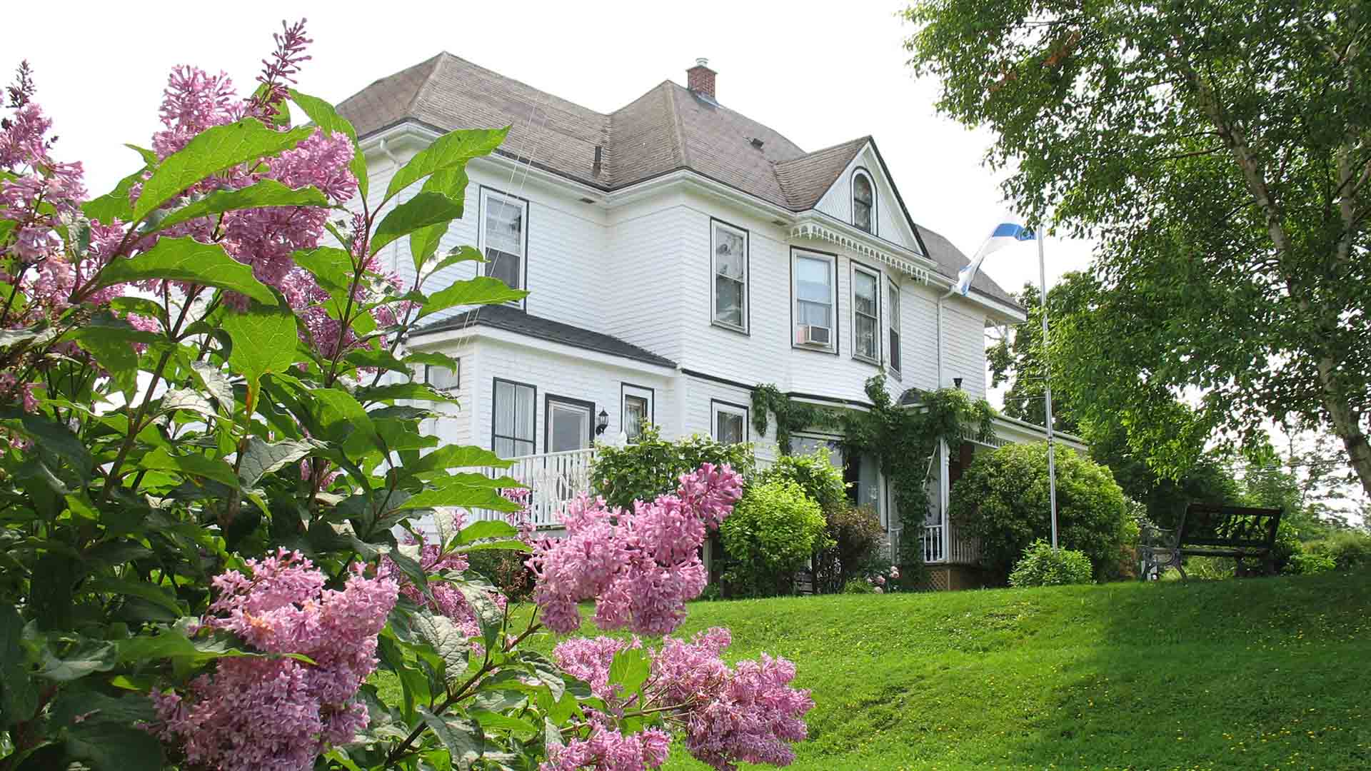 Nelson House Bed and Breakfast