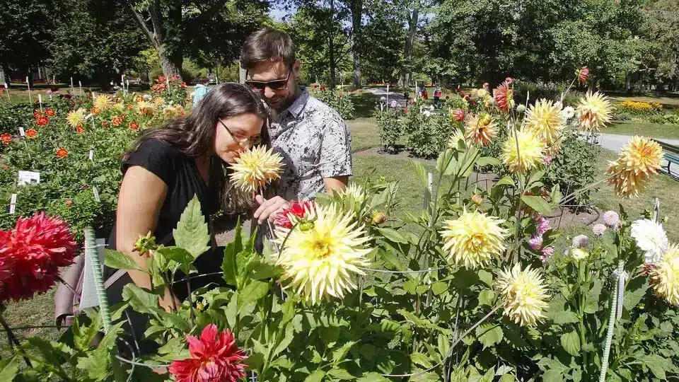 Couple enjoys the flowers in the Halifax Public Gardens