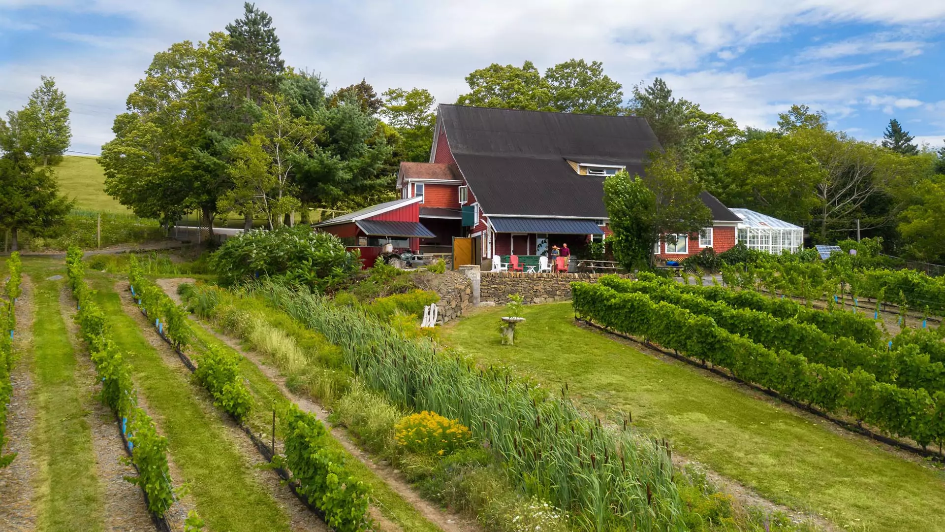 Bear River Vineyards (Photo by Adam Hill)