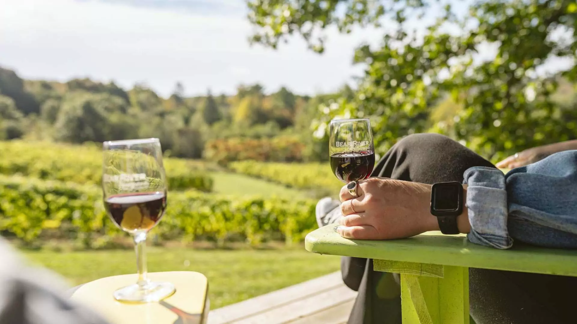 Bear River Vineyards