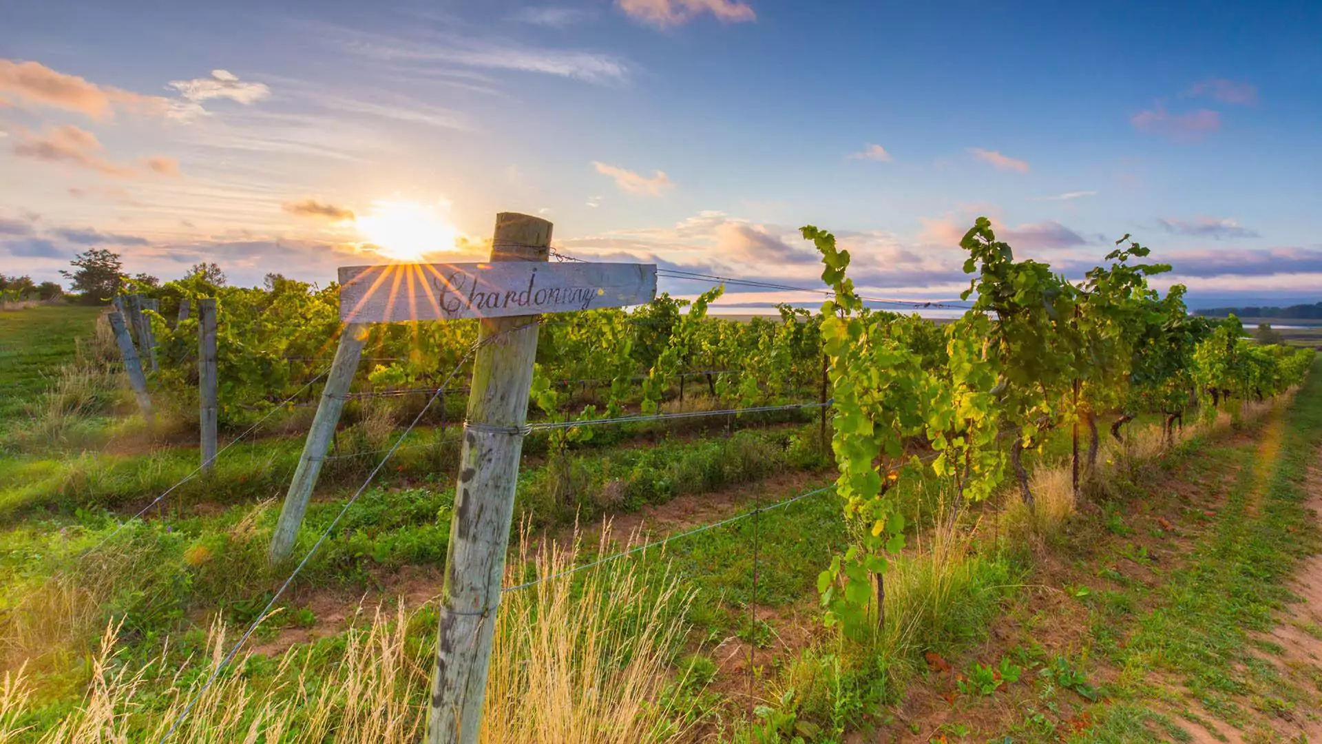 Nova Scotia’s Bountiful Harvest Seasons