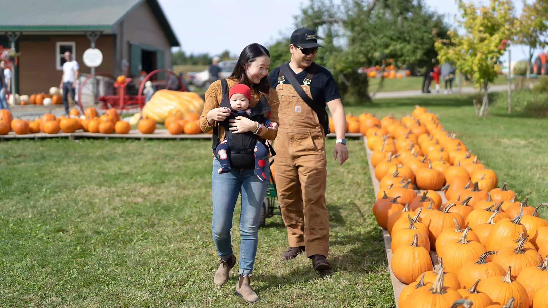 Dill Family Farm