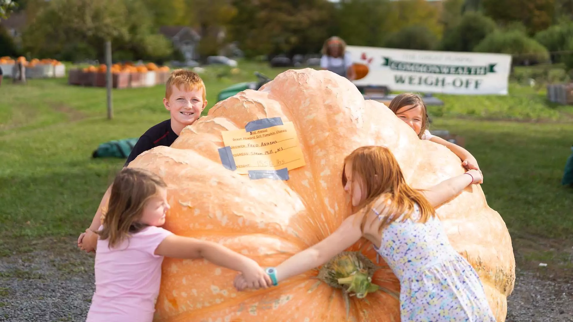 Dill's Atlantic Giant pumpkin at Dill's Family Farm, Windsor