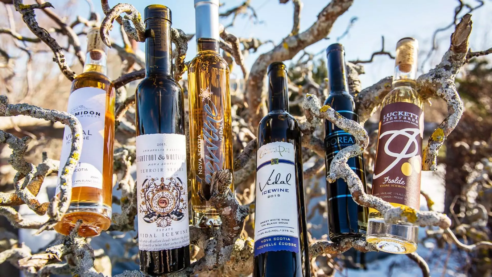 Nova Scotia Icewine Festival