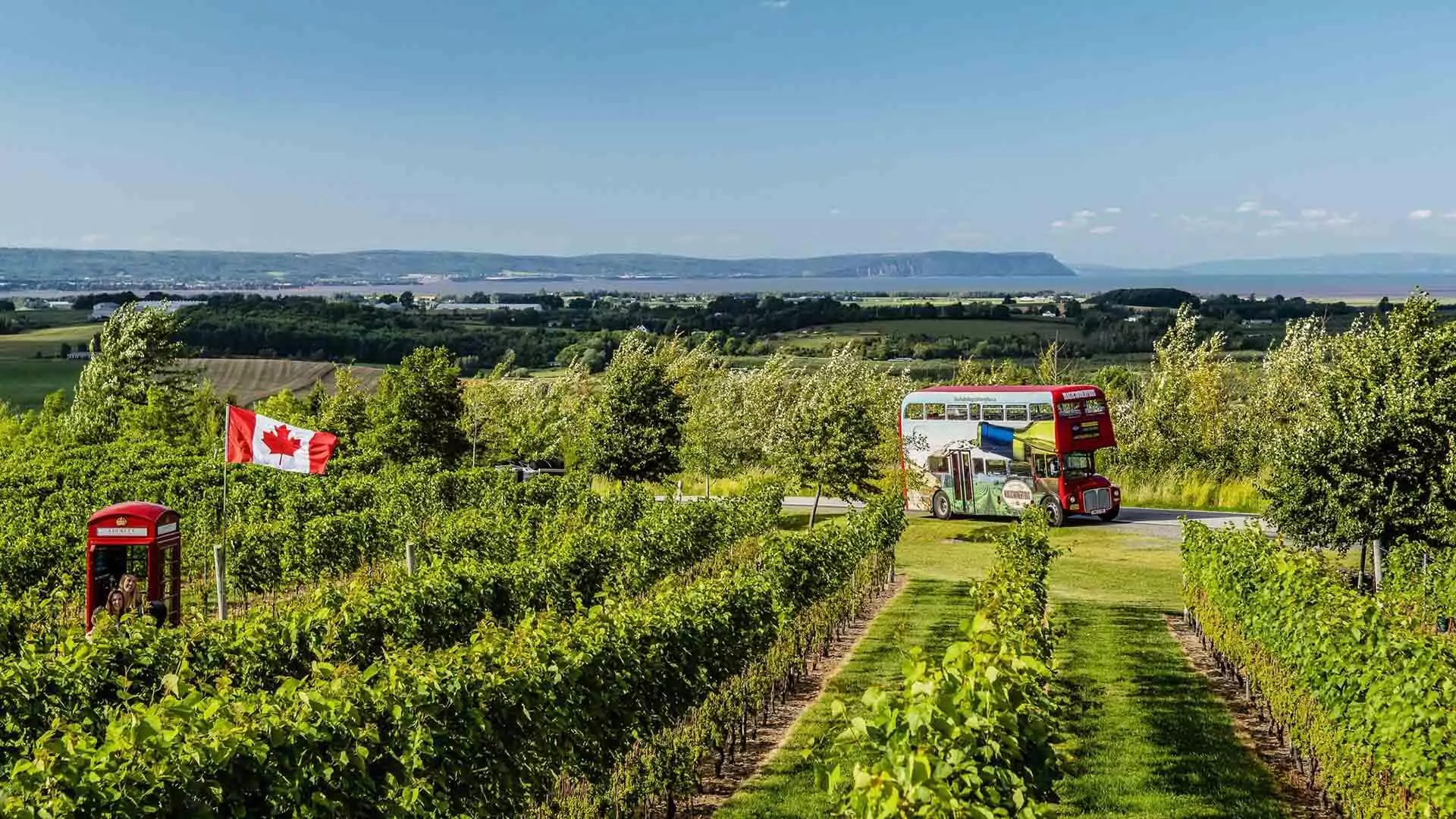Magic Winery Bus arriving at Luckett Vineyards